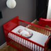 Babymoov Cosydream 睡眠墊
